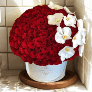 BOX ROSAS ROJAS