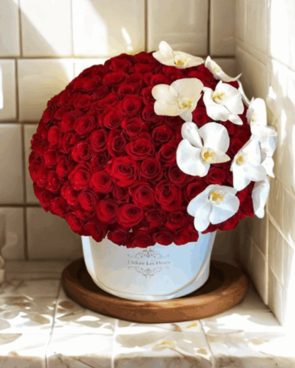 BOX ROSAS ROJAS