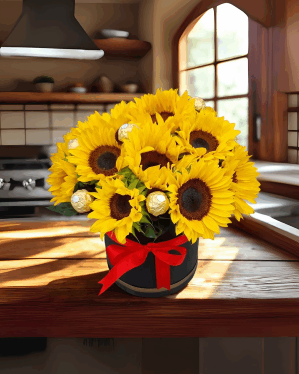 BOX DE GIRASOLES